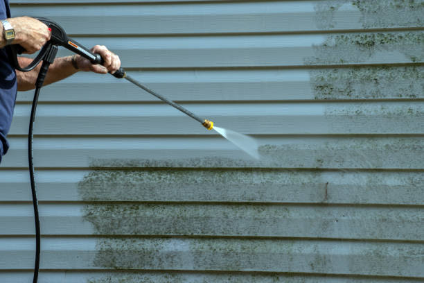 Best Vinyl Siding Pressure Washing in Lake Lakengren, OH